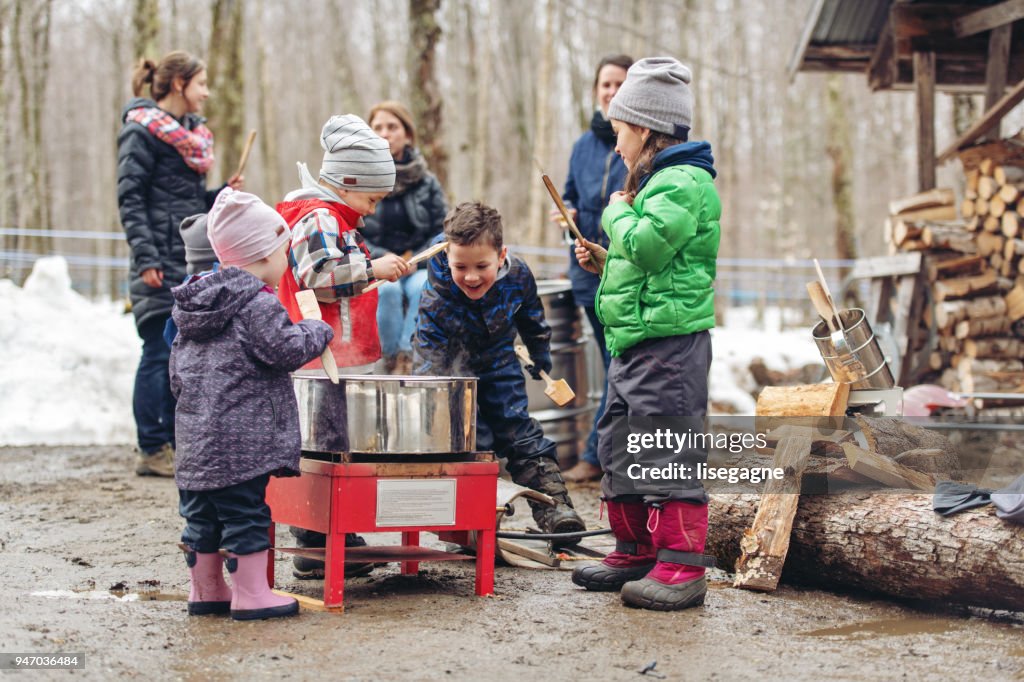 Small family business of a Maple syrup industry