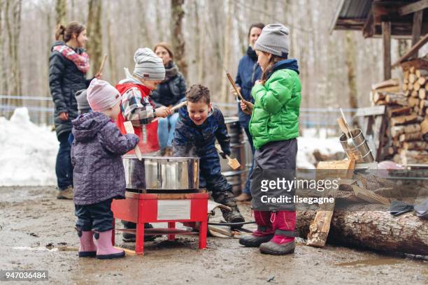small family business of a maple syrup industry - sugar shack stock pictures, royalty-free photos & images