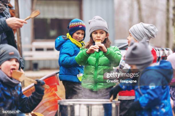 klein familiebedrijf van een ahornsiroop industrie - sugar shack stockfoto's en -beelden