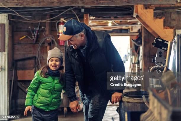 klein familiebedrijf van een ahornsiroop industrie - sugar shack stockfoto's en -beelden