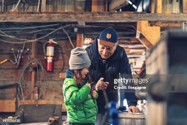 small family business of a maple syrup industry - sugar shack stock pictures, royalty-free photos & images