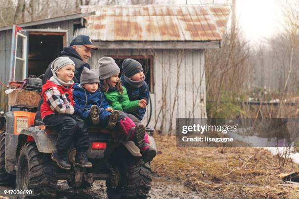 small family business of a maple syrup industry - shack stock pictures, royalty-free photos & images