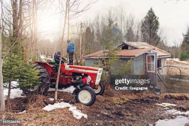 kleiner familienbetrieb einer ahornsirup-industrie - sugar shack stock-fotos und bilder