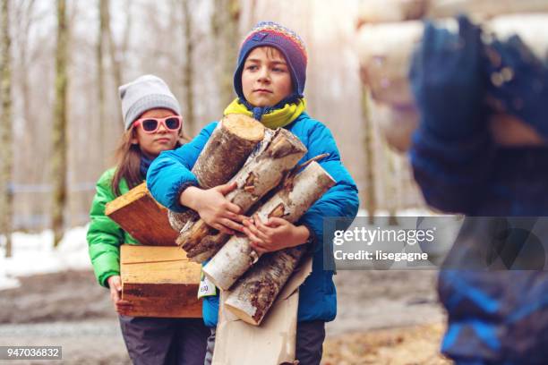 small family business of a maple syrup industry - sugar shack stock pictures, royalty-free photos & images