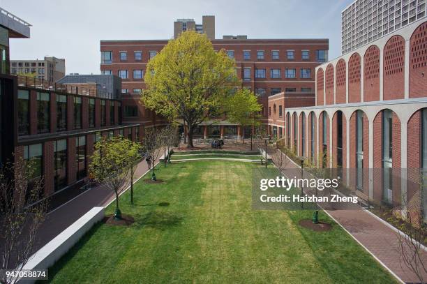 university of pennsylvania campus - penn stock pictures, royalty-free photos & images