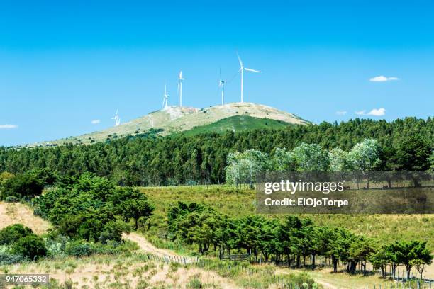 windmills on a hill in lavalleja deparment, uruguay - uruguay stock-fotos und bilder