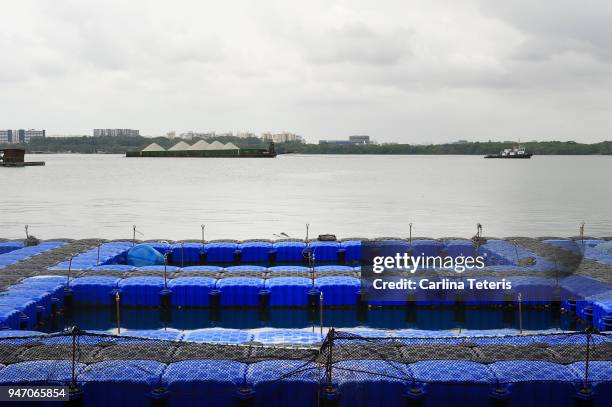 blue plastic floats forming open sea fish farming pens - sea pen stock pictures, royalty-free photos & images