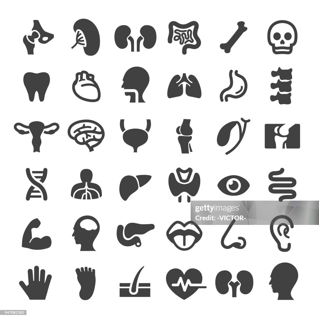 Iconos de órganos humanos - grandes Series