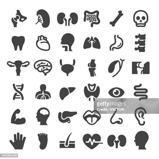 illustrazioni stock, clip art, cartoni animati e icone di tendenza di icone degli organi umani - grande serie - parte del corpo umano