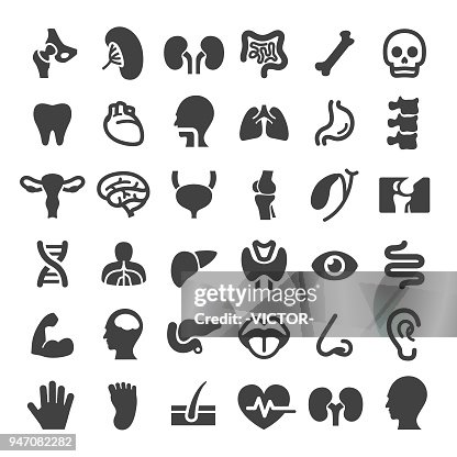 Human Organ Icons - Big Series Human Organ Icons - Big Series