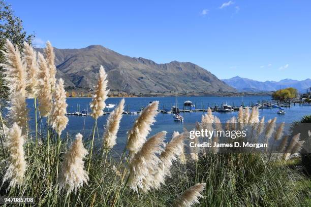 Scenes from in and around the tourist destination of Queenstown and Lake Wanaka on April 23, 2016 in Queenstown, New Zealand. Close to Queenstown...