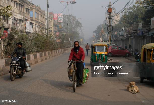 Man rides a bicycle with plastic bags attached to it on a street where a stray dog is sat on the roadside and a tuk tuk vehicle is in the...