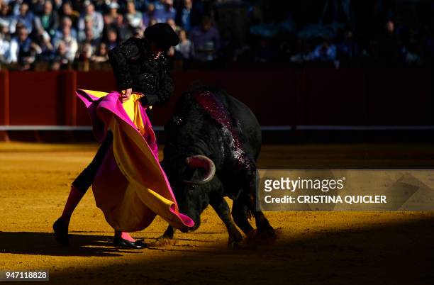 Spanish matador Alejandro Talavante performs a pass with capote on a bull during a bullfight at the Maestranza bullring, in Sevilla on April 16,...