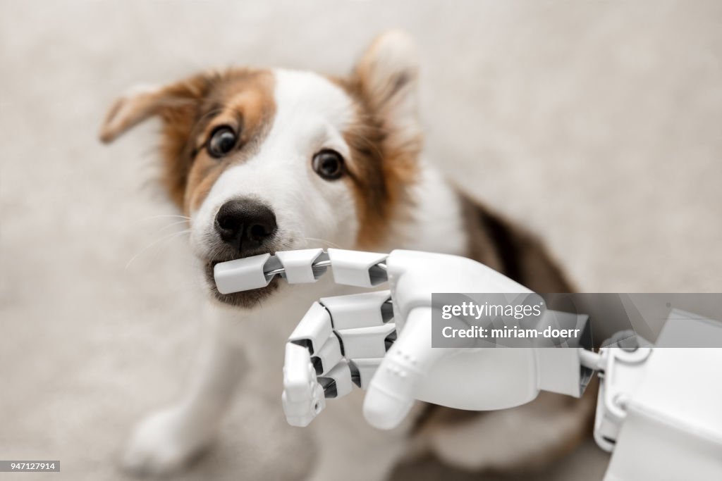 Cyborg oder Roboter Hand hält seinen Finger auf einen Welpen, sitzen auf dem Boden. Konzept, kybernetischen oder Roboter