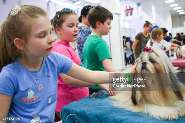Children pat a dog during the 'Animal Show 2018' trade fair and exhibition in Krakow, Poland on 14 April, 2018.