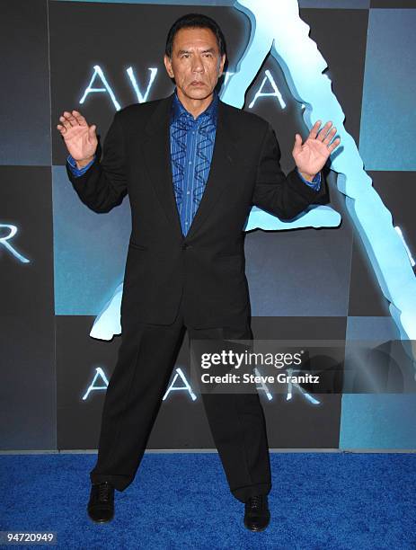 Wes Studi attends the Los Angeles premiere of "Avatar" at Grauman's Chinese Theatre on December 16, 2009 in Hollywood, California.