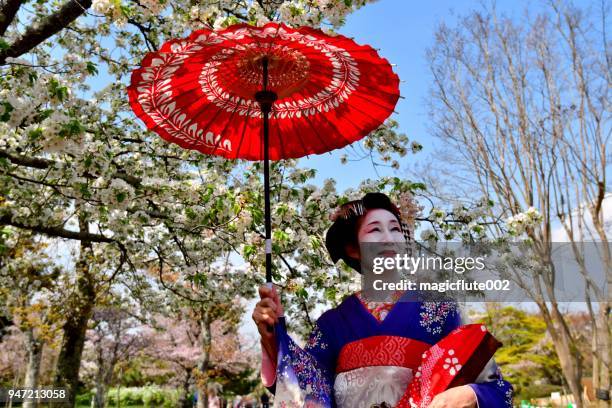 japanese woman in maiko’ s costume standing under cherry blossom, kyoto - heritage month stock pictures, royalty-free photos & images