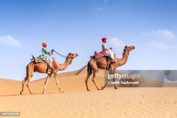 indian homme équitation chameaux sur les dunes de sable, rajasthan, inde - chameau photos et images de collection