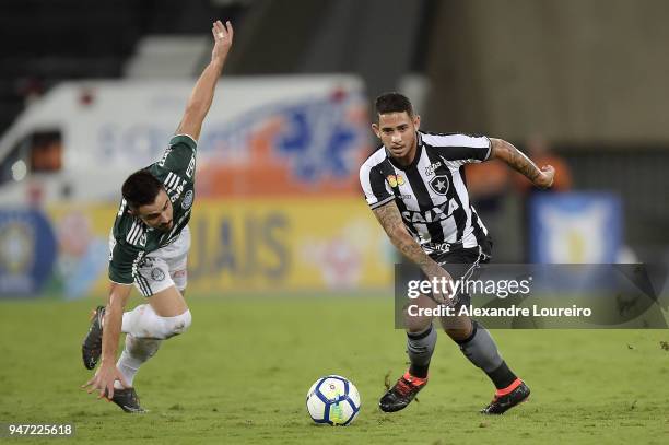 Leandro Carvalho of Botafogo struggles for the ball with Willian of Palmeiras during the match between Botafogo and Palmeiras as part of Brasileirao...