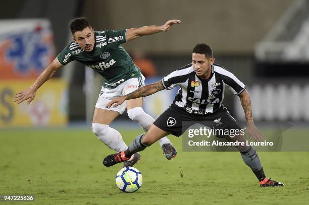 Leandro Carvalho of Botafogo struggles for the ball with Willian of Palmeiras during the match between Botafogo and Palmeiras as part of Brasileirao...