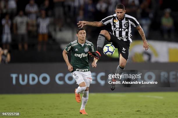 Leandro Carvalho of Botafogo struggles for the ball with Diogo Barbosa of Palmeiras during the match between Botafogo and Palmeiras as part of...