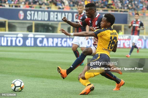 Rolando Aarons of Hellas Verona FC in action during the serie A match between Bologna FC and Hellas Verona FC at Stadio Renato Dall'Ara on April 15,...