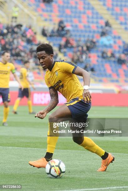 Rolando Aarons of Hellas Verona FC in action during the serie A match between Bologna FC and Hellas Verona FC at Stadio Renato Dall'Ara on April 15,...