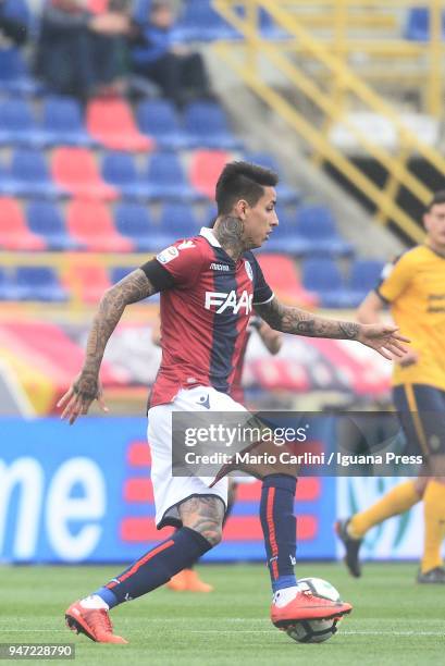 Erik Pulgar of Bologna FC in action during the serie A match between Bologna FC and Hellas Verona FC at Stadio Renato Dall'Ara on April 15, 2018 in...