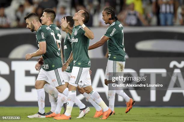 Players of Palmeiras celebrates the first scored goal by Alejandro Guerra during the match between Botafogo and Palmeiras as part of Brasileirao...