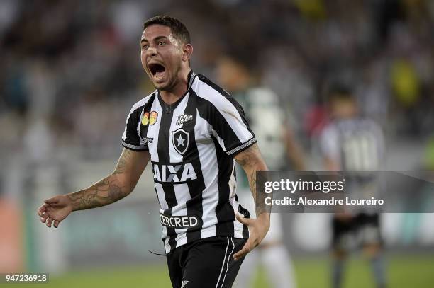 Leandro Carvalho of Botafogo reacts during the match between Botafogo and Palmeiras as part of Brasileirao Series A 2018 at Engenhao Stadium on April...