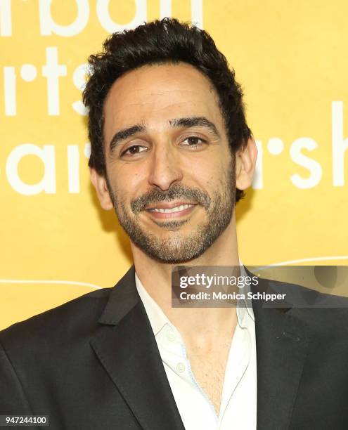 Amir Arison attends the Urban Arts Partnership's AmplifiED Gala at The Ziegfeld Ballroom on April 16, 2018 in New York City.