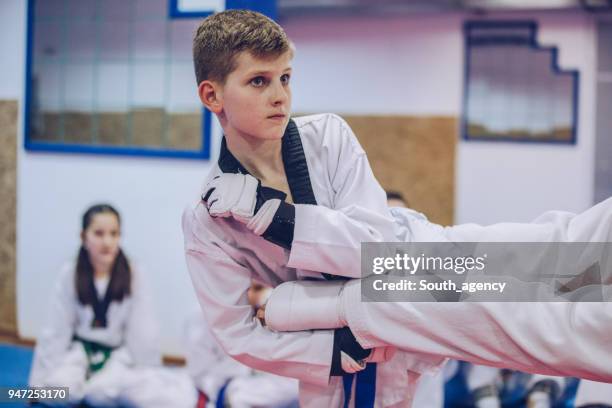 young boy training taekwondo - karate belt stock pictures, royalty-free photos & images