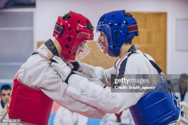 boys taekwondo practice - karate belt stock pictures, royalty-free photos & images