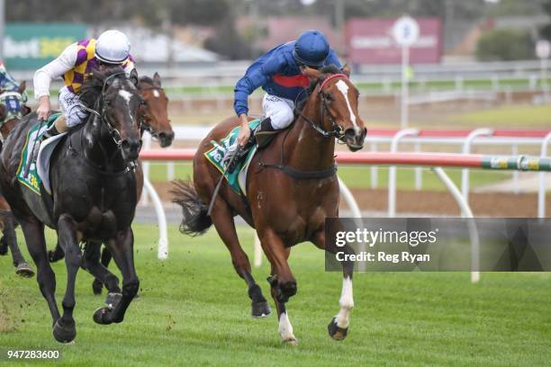 Zuers ridden by Jordan Childs wins the Geelong Homes F&M Maiden Plate at Geelong Racecourse on April 17, 2018 in Geelong, Australia.