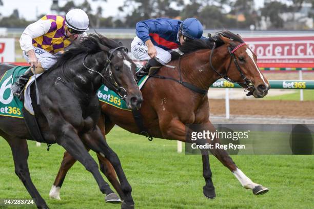 Zuers ridden by Jordan Childs wins the Geelong Homes F&M Maiden Plate at Geelong Racecourse on April 17, 2018 in Geelong, Australia.
