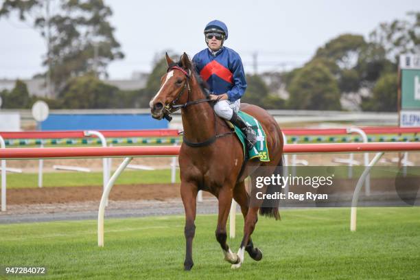 Jordan Childs returns to the mounting yard on Zuers after winning the Geelong Homes F&M Maiden Plate, at Geelong Racecourse on April 17, 2018 in...