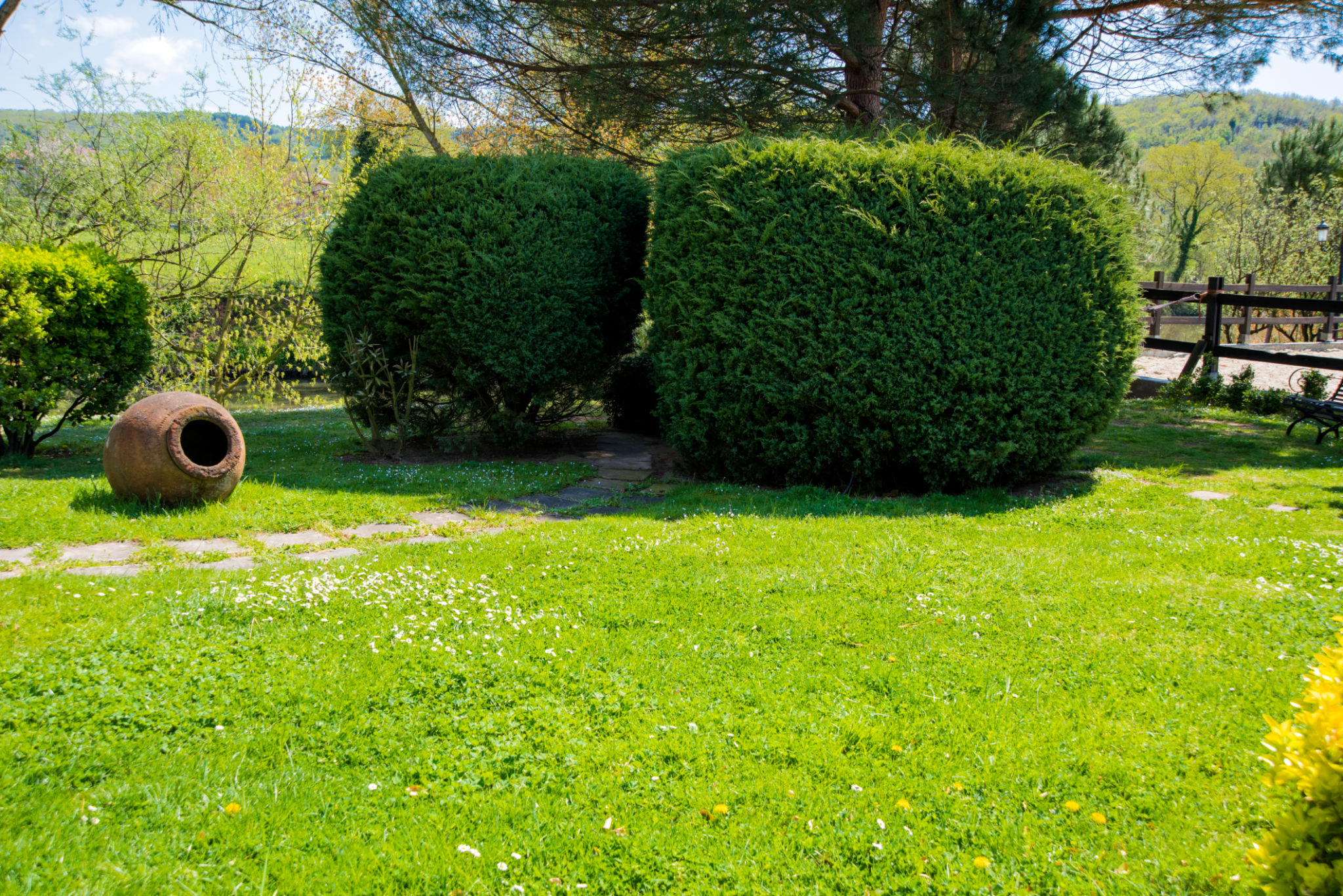 dornsife garden