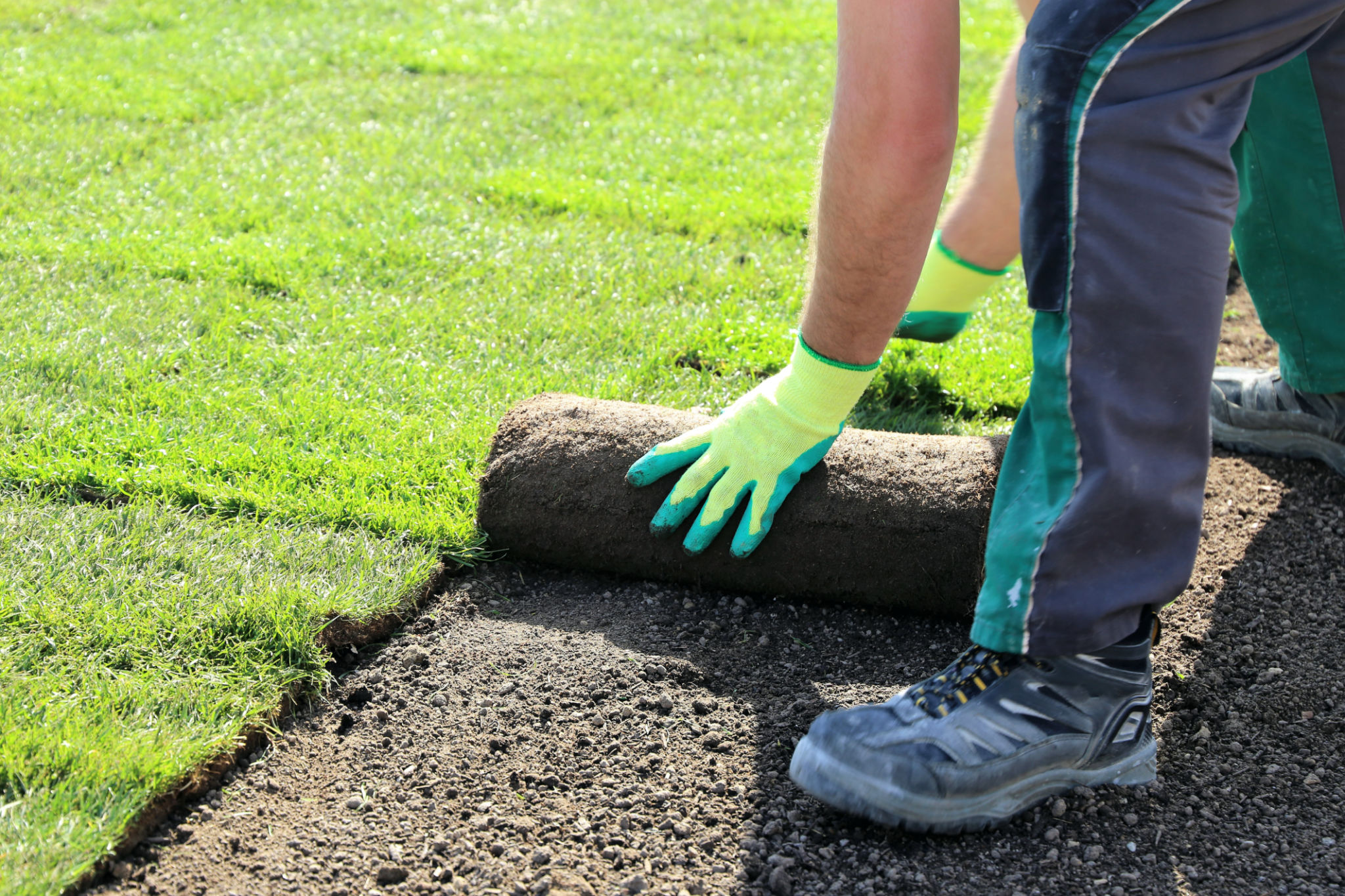 professional turf maintenance