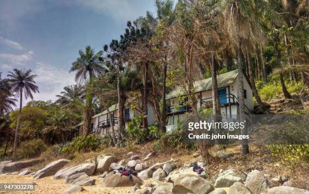 room island in guinea - conakry foto e immagini stock