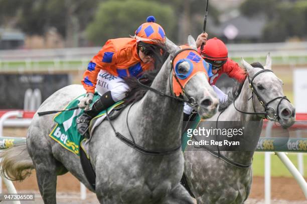 What a Hoot ridden by Nikita Beriman wins the Prestige Jayco 30th Anniversary BM64 Handicap at Geelong Racecourse on April 17, 2018 in Geelong,...