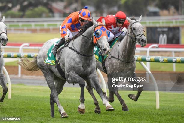 What a Hoot ridden by Nikita Beriman wins the Prestige Jayco 30th Anniversary BM64 Handicap at Geelong Racecourse on April 17, 2018 in Geelong,...