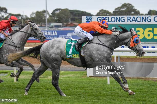 What a Hoot ridden by Nikita Beriman wins the Prestige Jayco 30th Anniversary BM64 Handicap at Geelong Racecourse on April 17, 2018 in Geelong,...