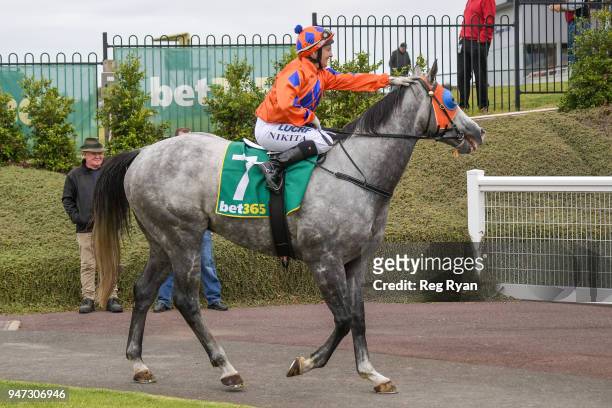 Nikita Beriman returns to the mounting yard on What a Hoot after winning the Prestige Jayco 30th Anniversary BM64 Handicap, at Geelong Racecourse on...