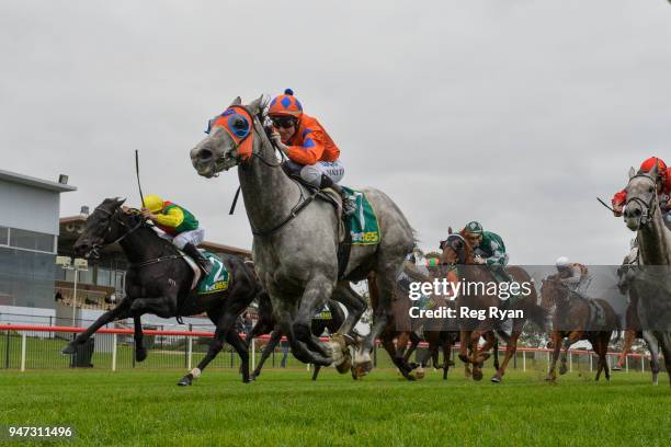 What a Hoot ridden by Nikita Beriman wins the Prestige Jayco 30th Anniversary BM64 Handicap at Geelong Racecourse on April 17, 2018 in Geelong,...