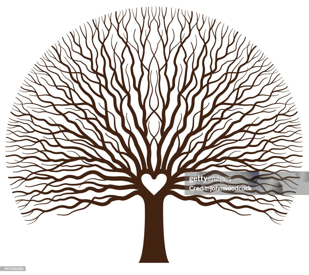 Großes Herz der Eiche Baum Abbildung
