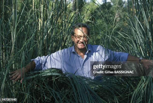 Stasi Bernard Photos and Premium High Res Pictures Getty Images