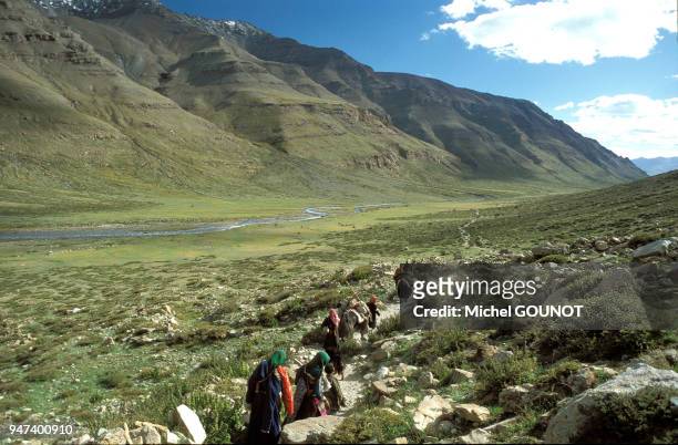 Pèlerinage bouddhiste autour du mont Kailash dans le sud-ouest du Tibet entre 4500m et 5800m d'altitude. Le mont Kailash culminant à 6714m est le...