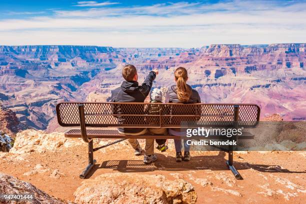 familie kijken bekijken nationaal park grand canyon verenigde staten - grand canyon national park stockfoto's en -beelden