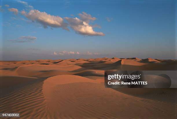 PAUSAGE DU SAHARA, GRAND ERG ORIENTAL, TUNISIE.