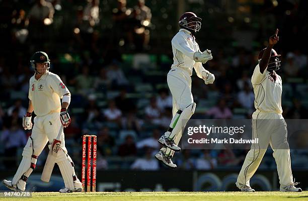 Denesh Ramdin and Travis Dowlin of West Indies celebrate the wicket of Brad Haddin of Australia during day three of the Third Test match between...